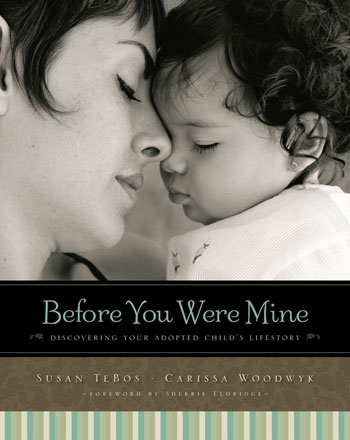 Family Matters Blog, Susan TeBos, Before You Were Mine